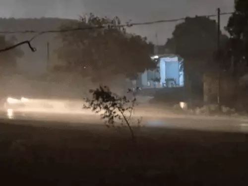 लालसोट में तेज अंधड़ का कहर, दो लोगों की दर्दनाक मौत; सैकड़ों पेड़ और बिजली पोल गिरे