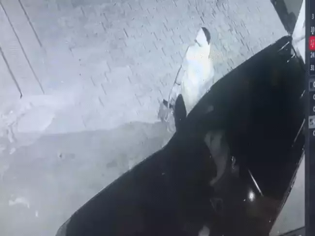 हथियारबंद बदमाश स्कॉर्पियो चोरी कर ले गए, CCTV में कैद वारदात; एक्सप्रेस-वे पर मिली लोकेशन