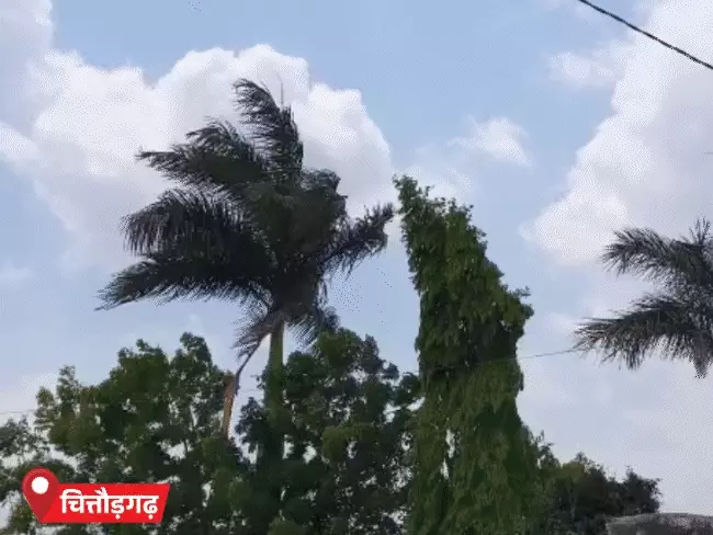 राजस्थान के 12 जिलों में आज आंधी-बारिश का अलर्ट, ओलावृष्टि की भी संभावना; पारा 46 डिग्री के करीब