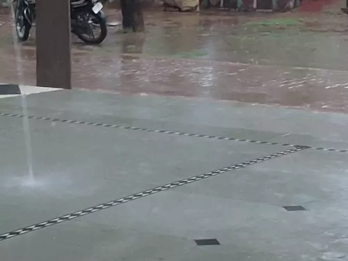 दौसा के कई इलाकों में दूसरे दिन भी बारिश, 2 जुलाई तक बरसात के आसार; आंधी-गरज के साथ येलो अलर्ट जारी