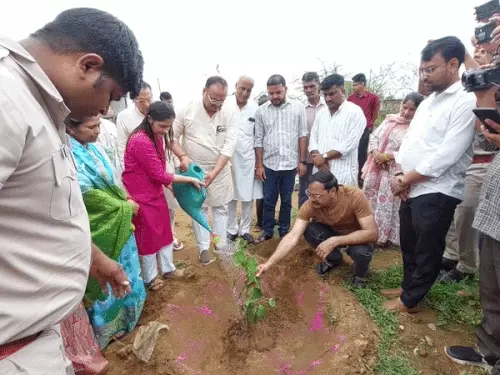 दौसा में 25 लाख पौधे लगाने का लक्ष्य, नीलकंठ फॉरेस्ट में हुआ पौधारोपण