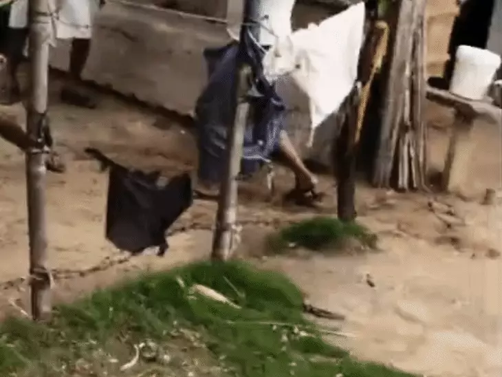 लालसोट में जमीनी विवाद ने लिया हिंसक रूप: लाठी-डंडों से हमला, 7 लोग घायल; 8 के खिलाफ FIR, 3 हिरासत में