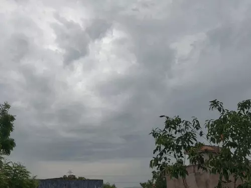 दौसा में आज बारिश का अलर्ट: घने बादलों के बीच कई इलाकों में हल्की बरसात, मौसम हुआ सुहावना