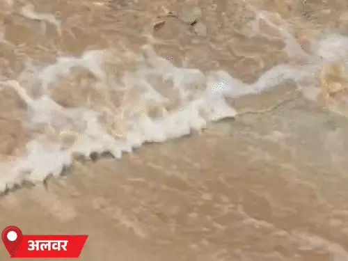 राजस्थान में आज से फिर एक्टिव होगा मानसून, कई जिलों में बारिश के आसार; अब तक सामान्य से 9% कम बारिश