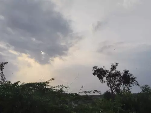 सवाई माधोपुर में 6 जुलाई तक दस्तक देगा मानसून, 2 से 4 जुलाई तक तेज आंधी-बारिश का अलर्ट