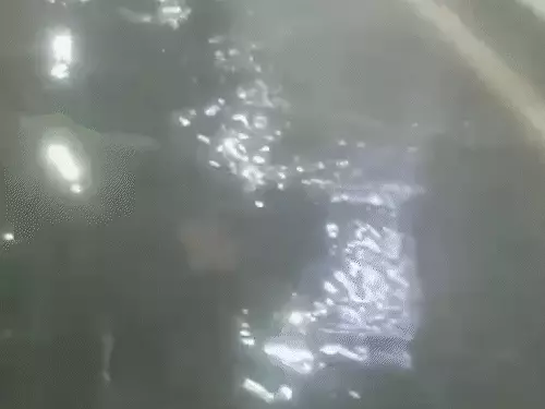 मानसून की पहली बारिश में डूबा जयपुर का SMS ट्रॉमा सेंटर: ग्राउंड फ्लोर पर भरा पानी, माइनर ओटी में इलाज रोकना पड़ा