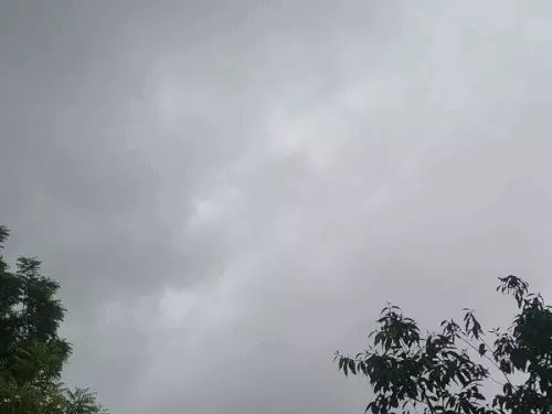 दौसा में तेज हवा के साथ बारिश का अलर्ट:लोगों को उमस से मिली राहत, कई इलाकों में सुबह से रिमझिम बारिश का दौर जारी
