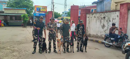 देश में पहली बार डॉग्स को मिल रही वन्यजीव तस्करों को पकड़ने की ट्रेनिंग