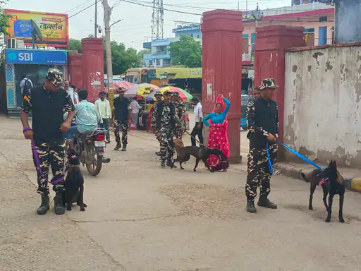 एसएसबी जवान डॉग्स के साथ बांदीकुई पहुंचे:रेलवे स्टेशन और बस स्टैंड पर ले जाकर देखा ट्रेनिंग का स्तर