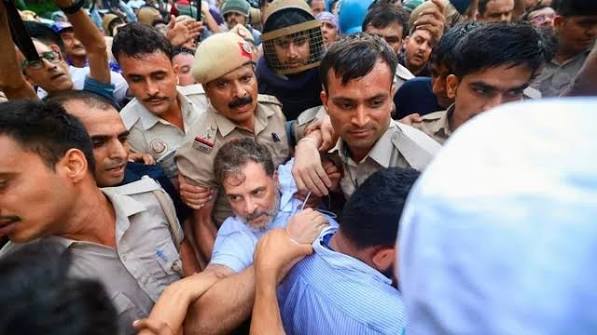आज का एक्सप्लेनर:क्या ‘कॉकरोचों’ को पीटना मोदी सरकार को महंगा पड़ेगा, 3 नई मुसीबतें; राहुल गांधी को धरने से उठाया, अब आगे क्या